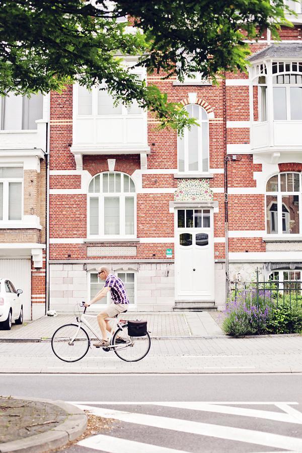 B&B Villa Des Roses Hasselt Exteriér fotografie